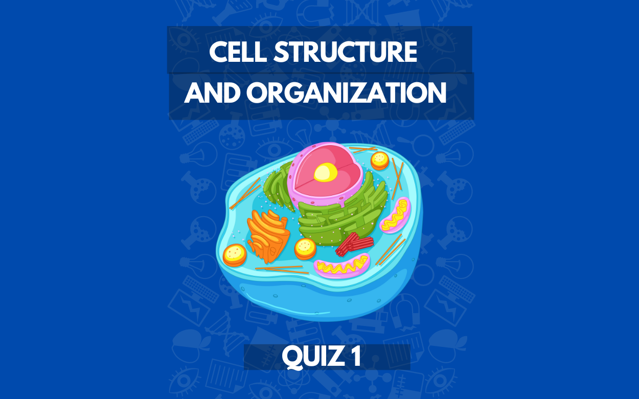 Cell Structure and Organization