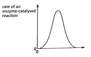 Rate of enzyme catalyst graph