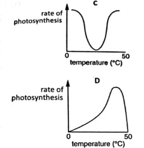 Plant Nutrition Q220 (2)