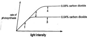 Plant Nutrition Q221(2)