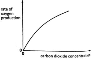 Plant Nutrition Q226