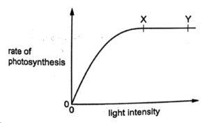 Plant Nutrition Q235