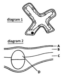 Plant Nutrition Question 218